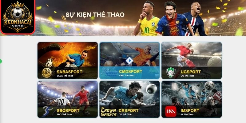 Cá cược thể thao chất lượng